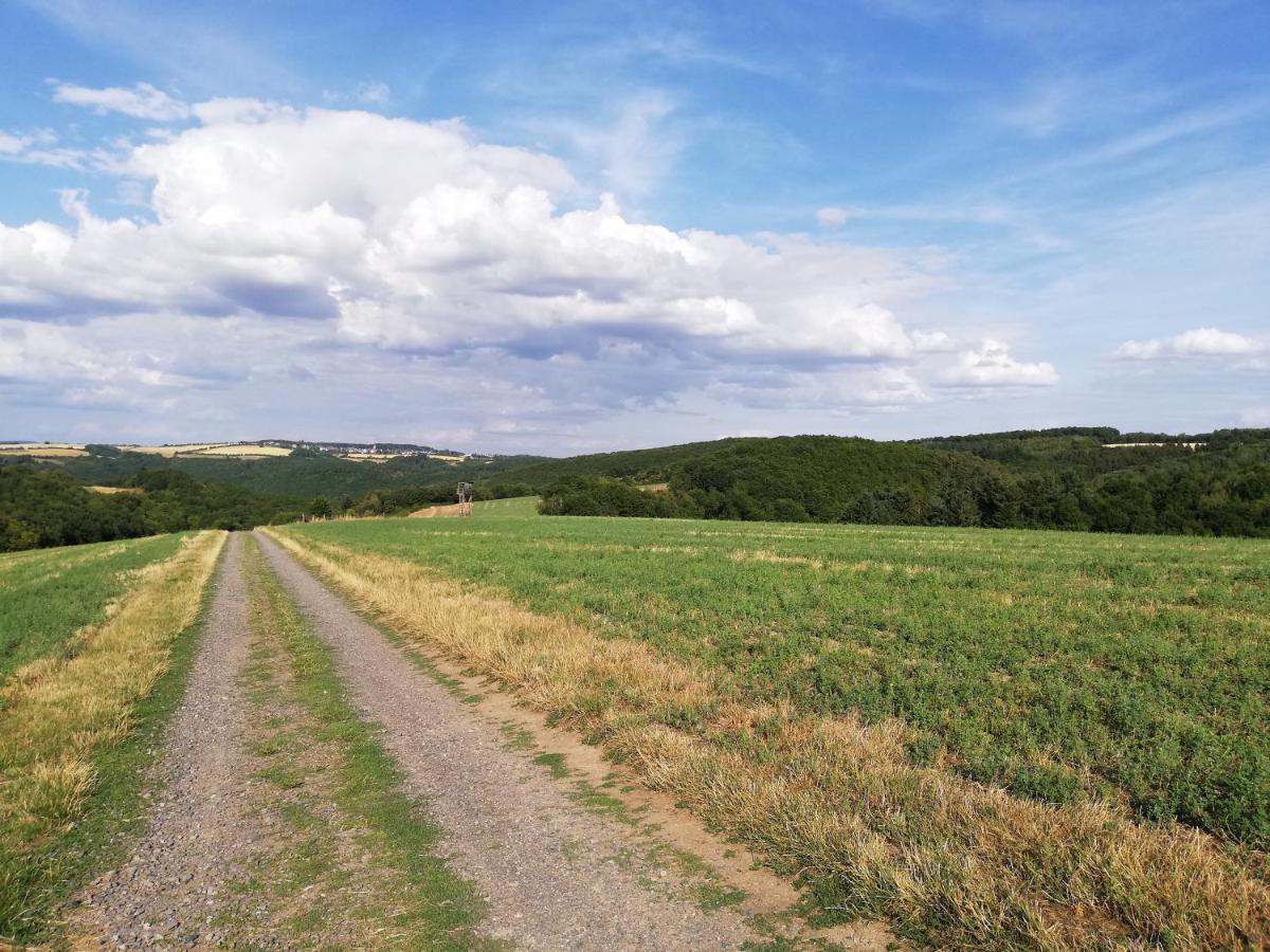 Ferienwohnung Altmaier - Ferien Auf Dem Lande Griebelschied Kültér fotó